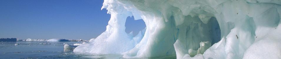 Antarctic Peninsula
